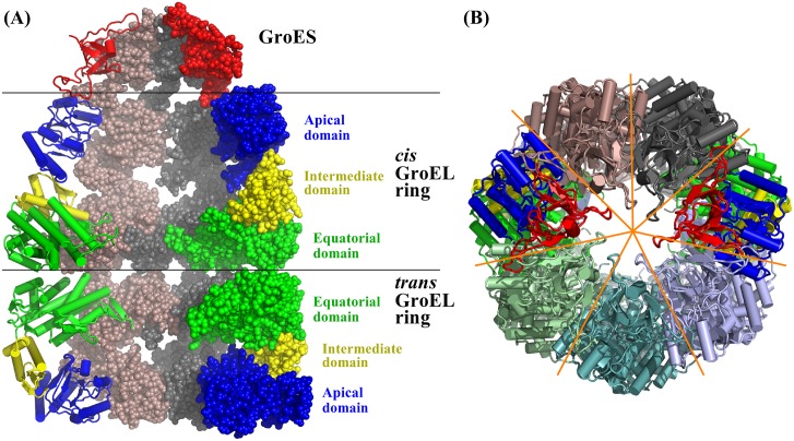 Fig 3