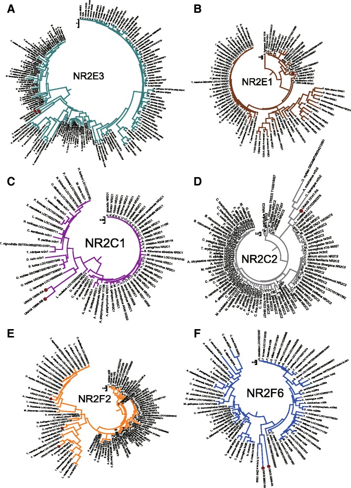 Fig. 9