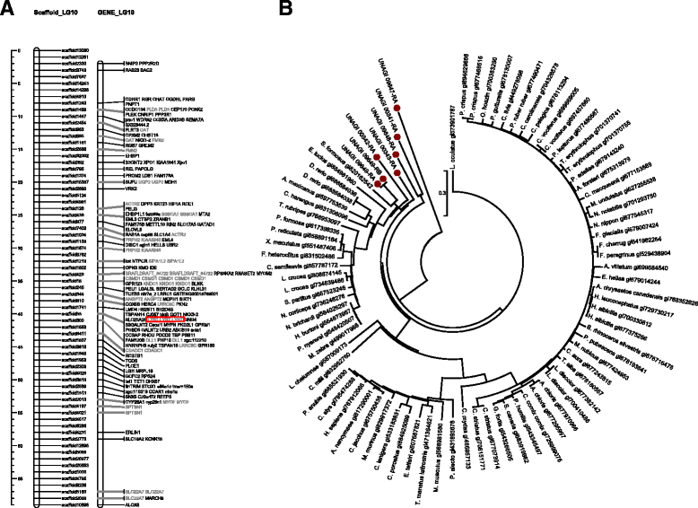 Fig. 10