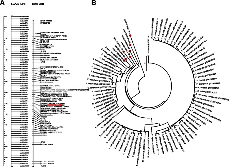 Fig. 10