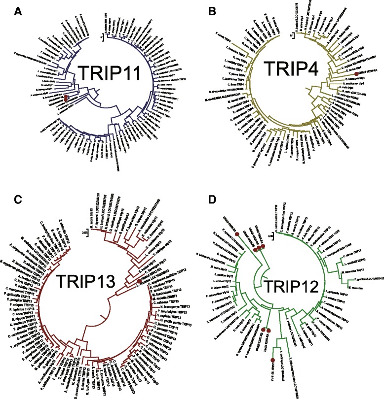 Fig. 7