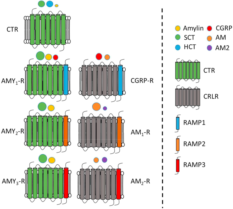 Figure 3