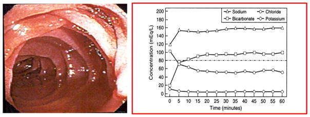 Figure 22