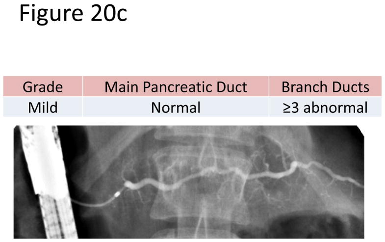 Figure 20