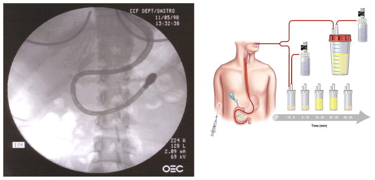 Figure 21