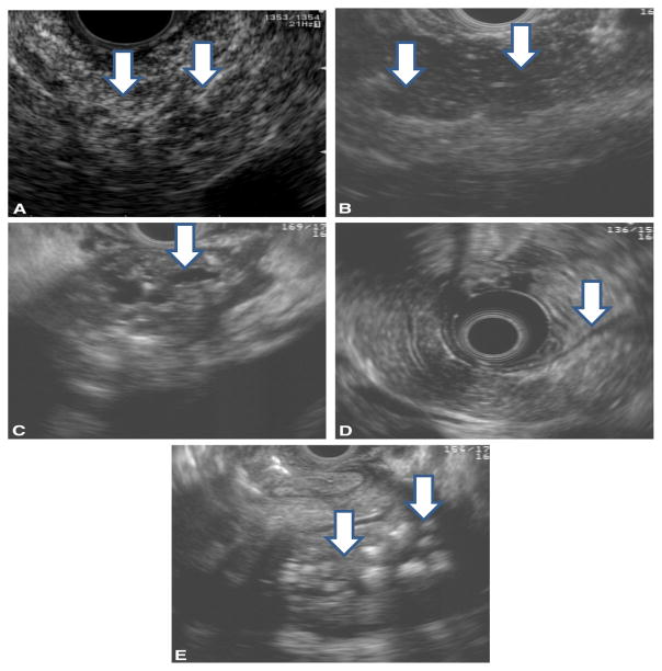 Figure 19