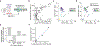 Extended Data Fig. 5 |