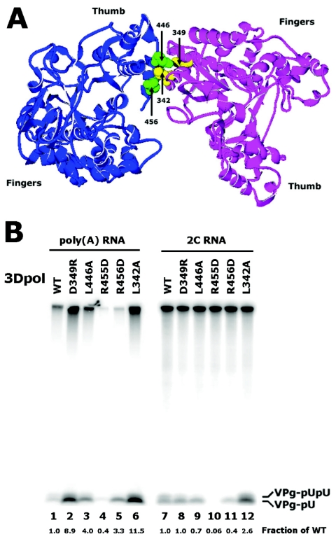 FIG. 6.