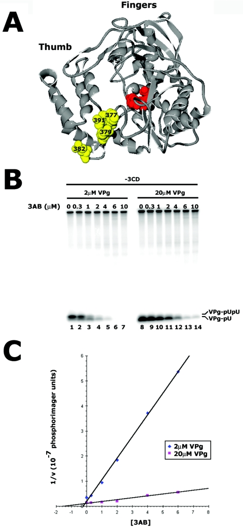 FIG. 4.