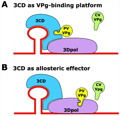 FIG. 2.