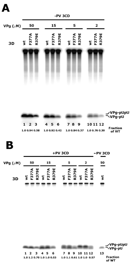 FIG. 5.