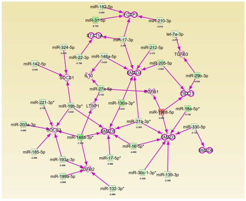 Figure 5: