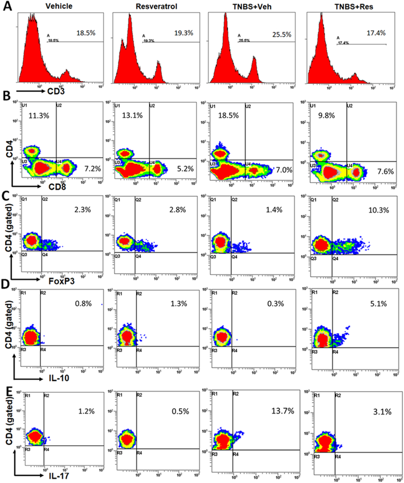 Figure 2: