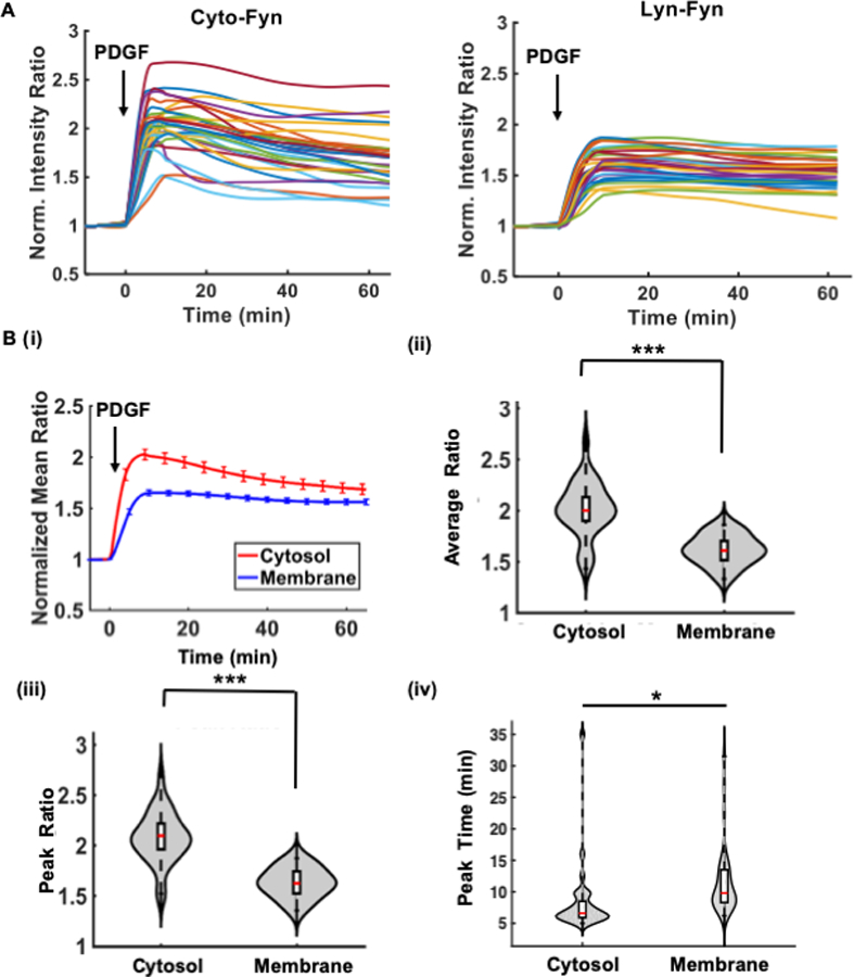 FIGURE 3 |