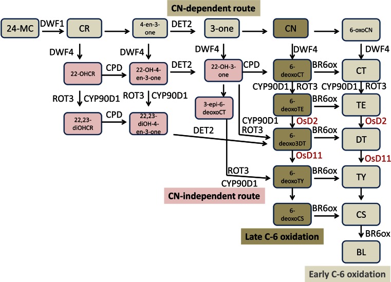 Fig. 3