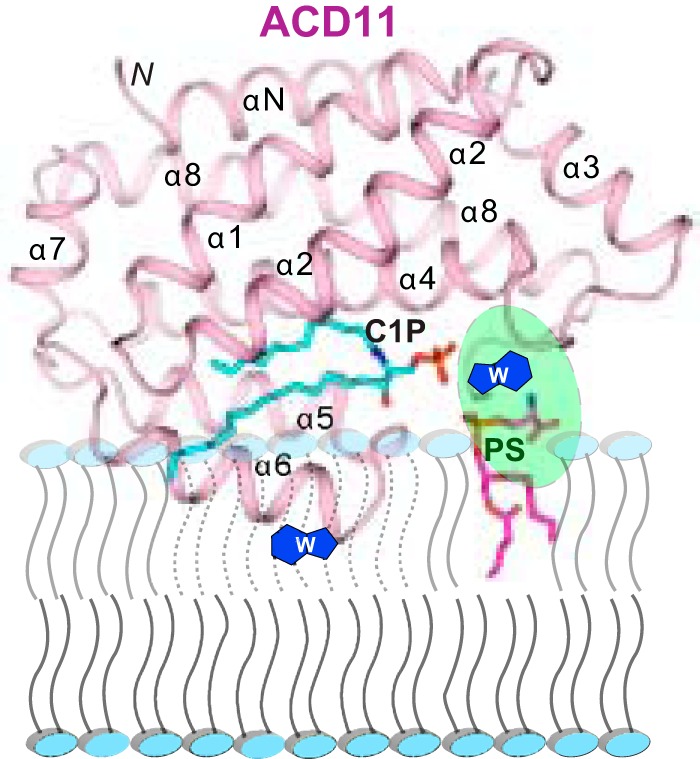 FIGURE 7.