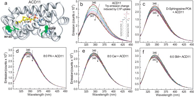 FIGURE 1.