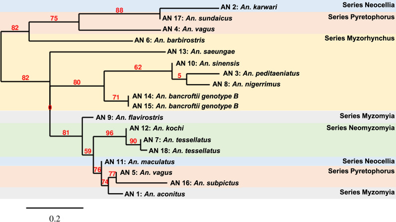 Fig. 2