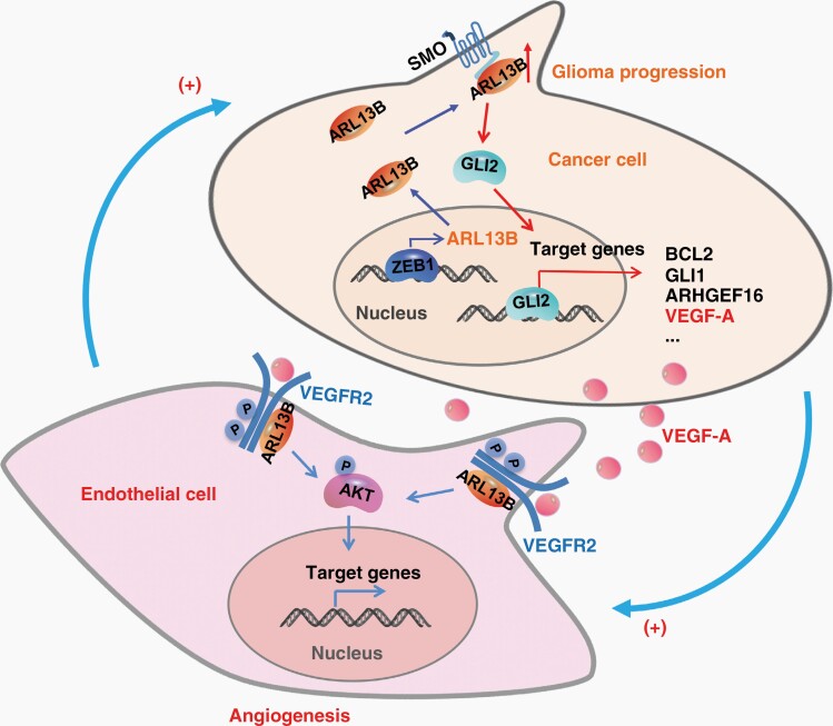 Graphical Abstract