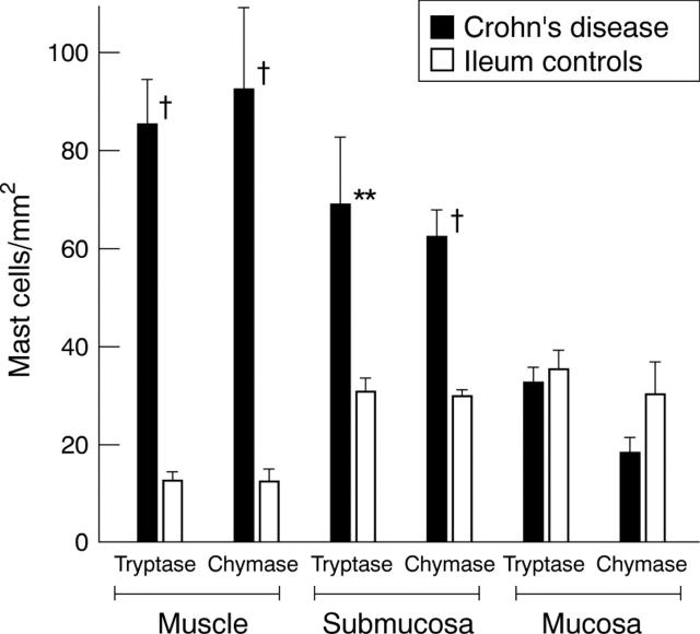 Figure 4  