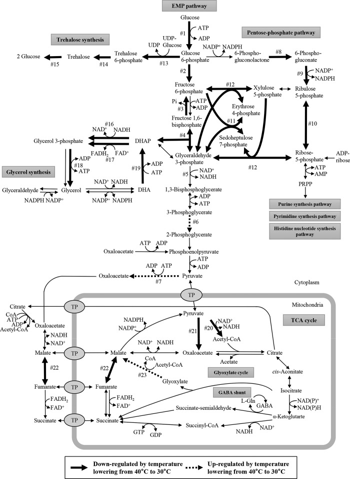 FIG 2