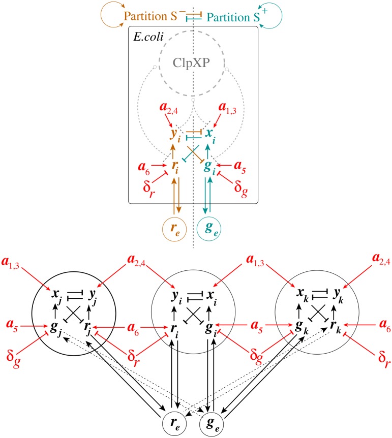 Fig 3