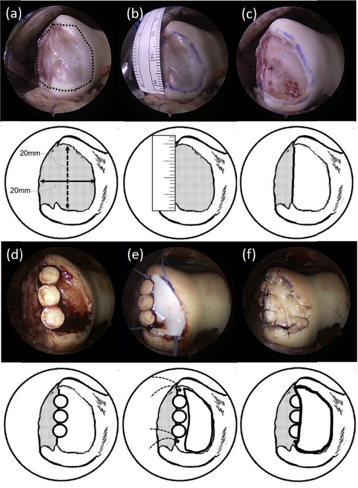 Fig. 4