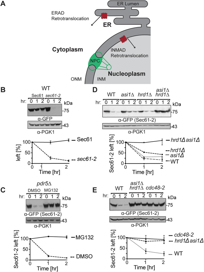 FIGURE 1: