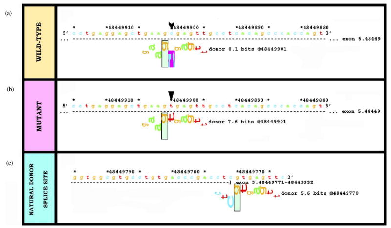 Fig. 4