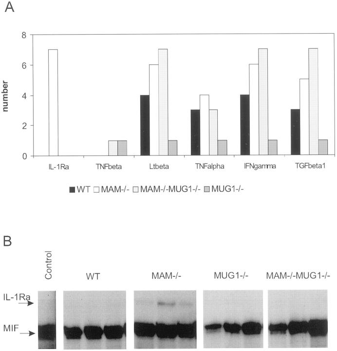 Figure 6.