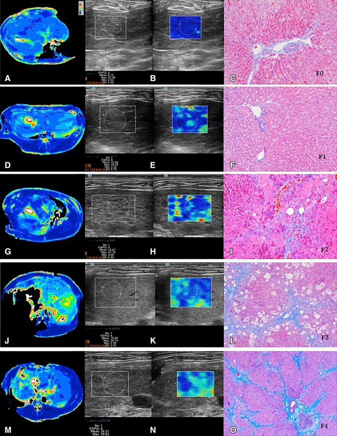 Fig. 4