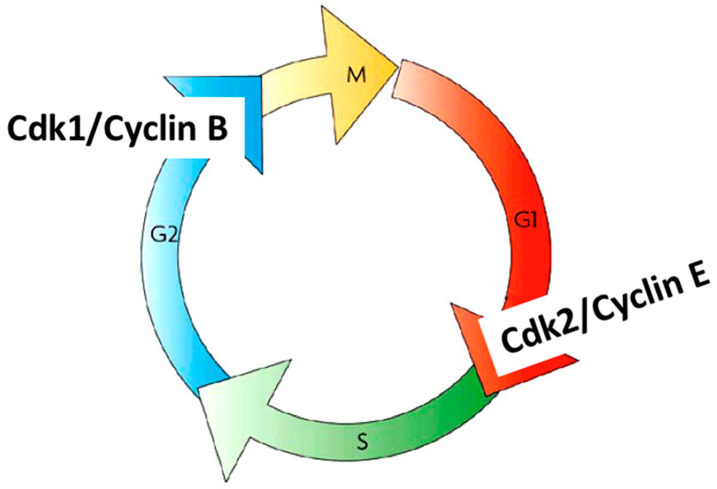 Figure 7