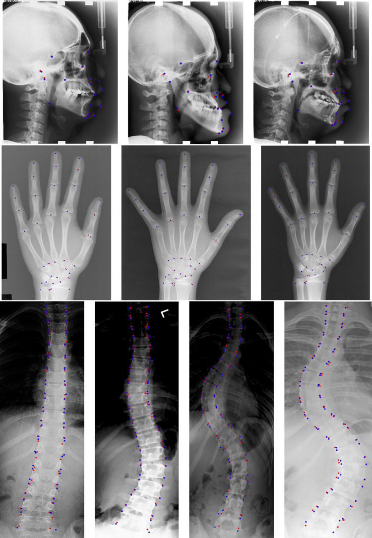 Fig. 6