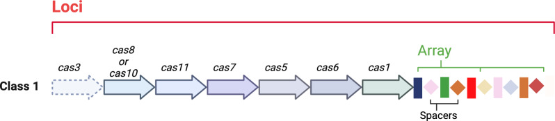 Fig. 6