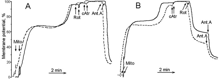 
Figure 8.
