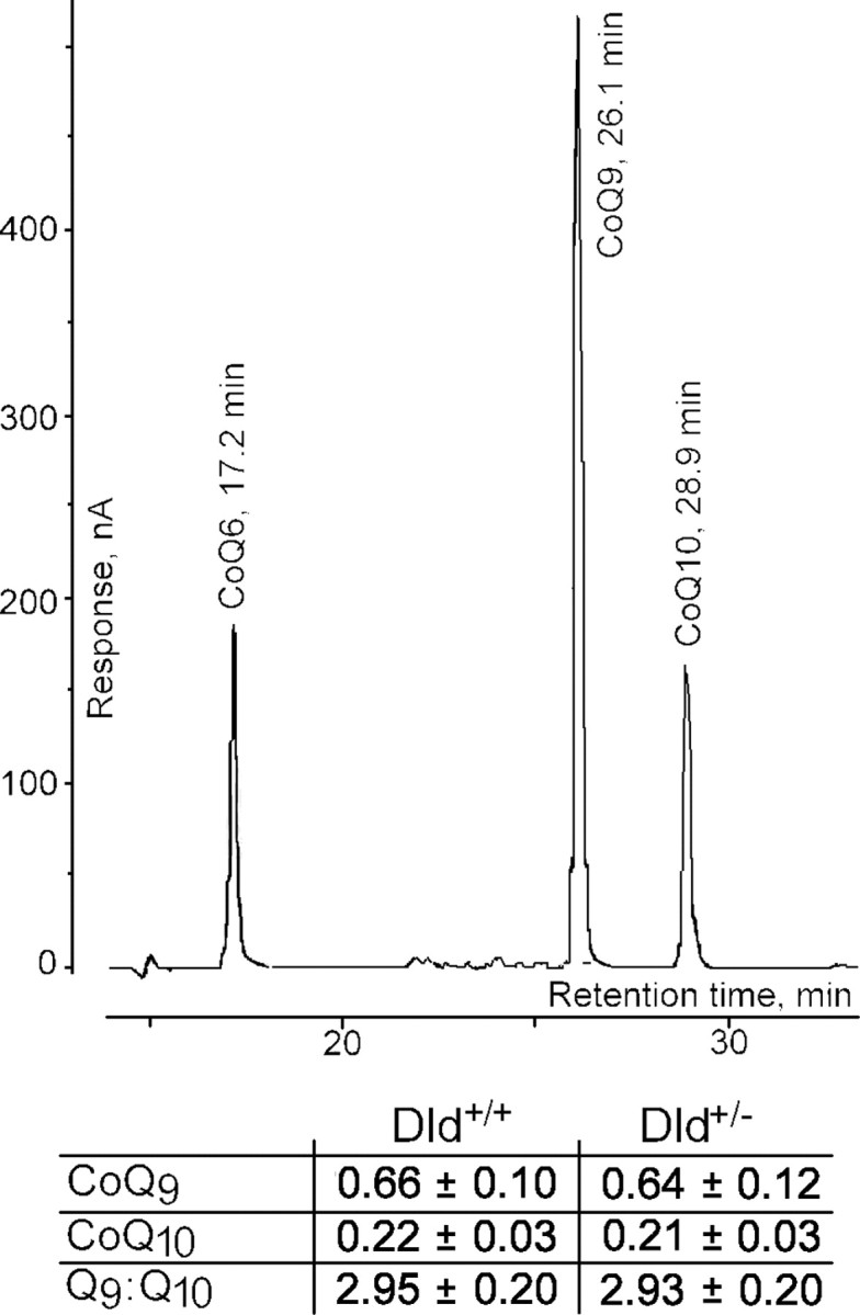 
Figure 10.
