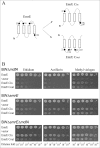 FIGURE 2.