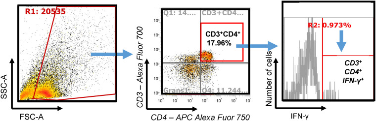 FIG 3