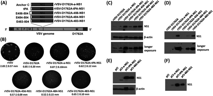 FIG 1