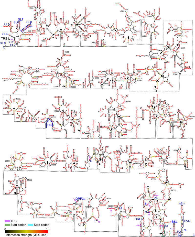 Fig. 3