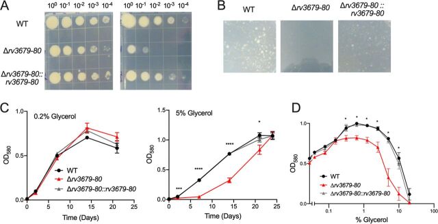 FIG 2