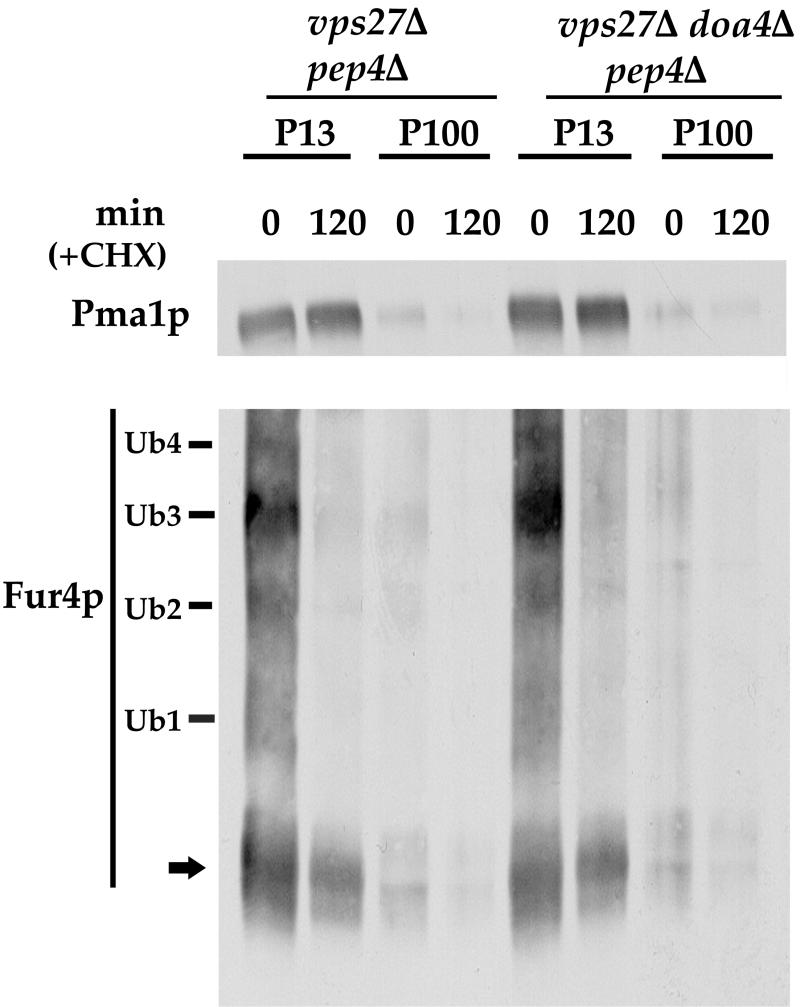 FIG. 8