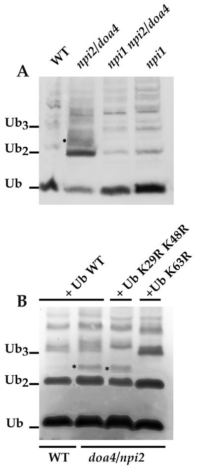 FIG. 9