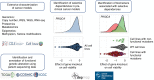 Figure 2. Databases and visualization tools for molecular characterization of human tumors and tumor cell lines. DepMap visualization for the PIK3CA gene indicating that cell lines with functional/activating PIK3CA mutations are dependent on PIK3CA for proliferation (16, 176). RNA-seq, RNA sequencing; WGS, whole-genome sequencing; WT, wild-type.
