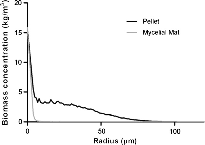 Fig. 5