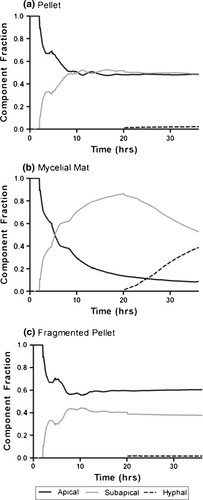 Fig. 7