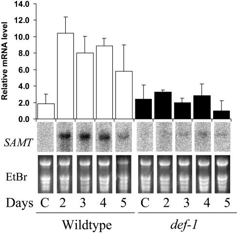 Figure 6.