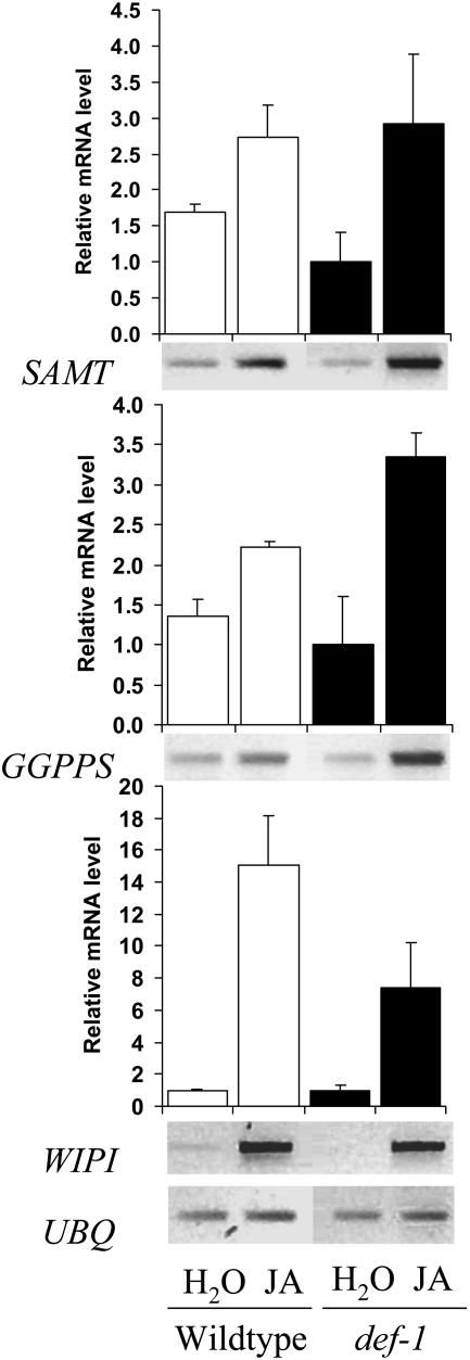 Figure 7.