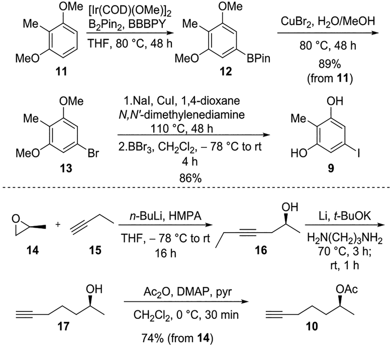 Scheme 2.