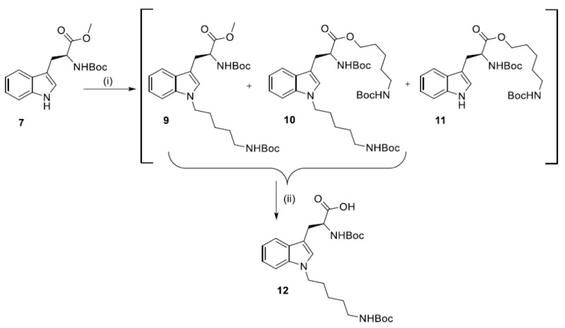 Scheme 3